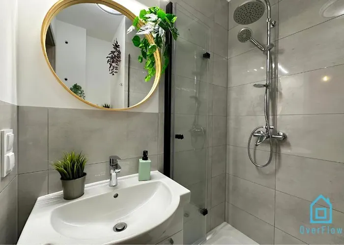 Shark - 3 Km To Baltic Sea